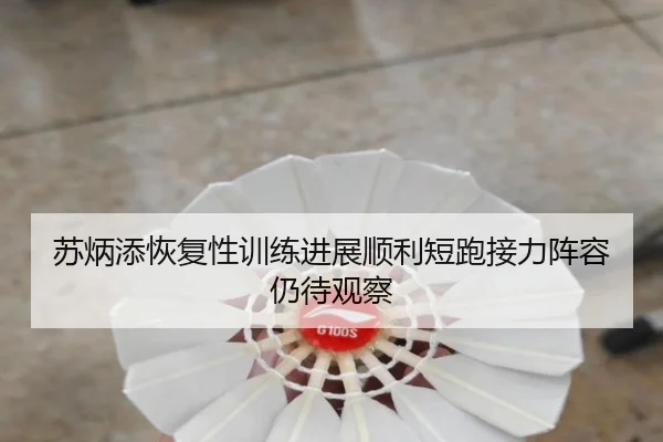 苏炳添恢复性训练进展顺利短跑接力阵容仍待观察 | BOYUSPORTS